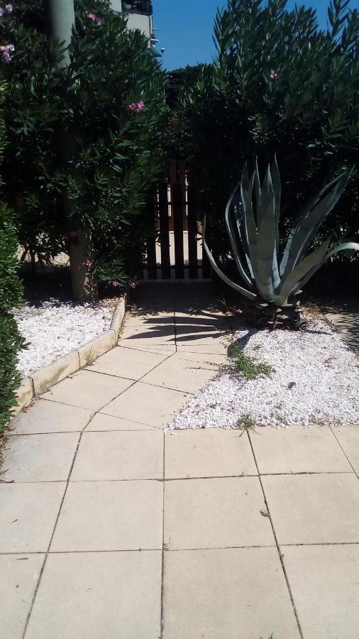 Studio de 27 m² + 70 m² de jardin à 100 m des plages Cavalaire-sur-Mer Buitenkant foto